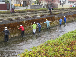 川の中から植え込みまできれいにしました