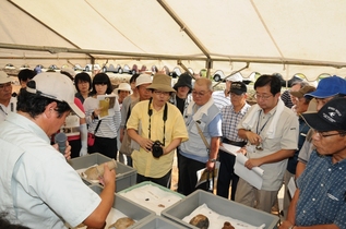 高杯やかめなどの土師器が出土