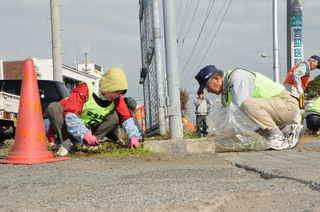 歩道の草もきれいに