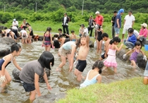 冷たい水の中で懸命に魚をつかまえます