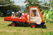 運搬車に乗せてもらって遊園地状態